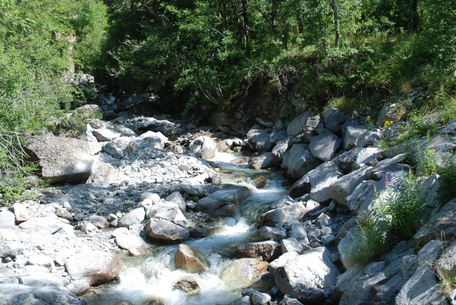 Les Gites De L'E.D.E. Saint-Leger-les-Melezes Bagian luar foto